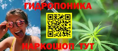 дмт Будённовск
