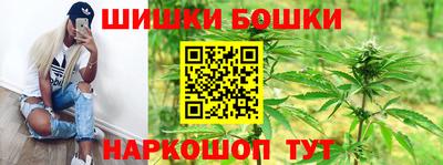 дмт Будённовск