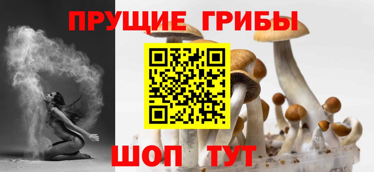 Галлюциногенные грибы MAGIC MUSHROOMS Новомосковск