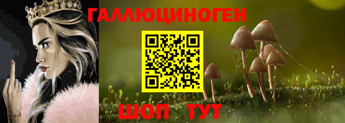 Новомосковск  Псилоцибиновые грибы Cubensis  Вход с VPN  Галлюциногенные грибы ЛСД 